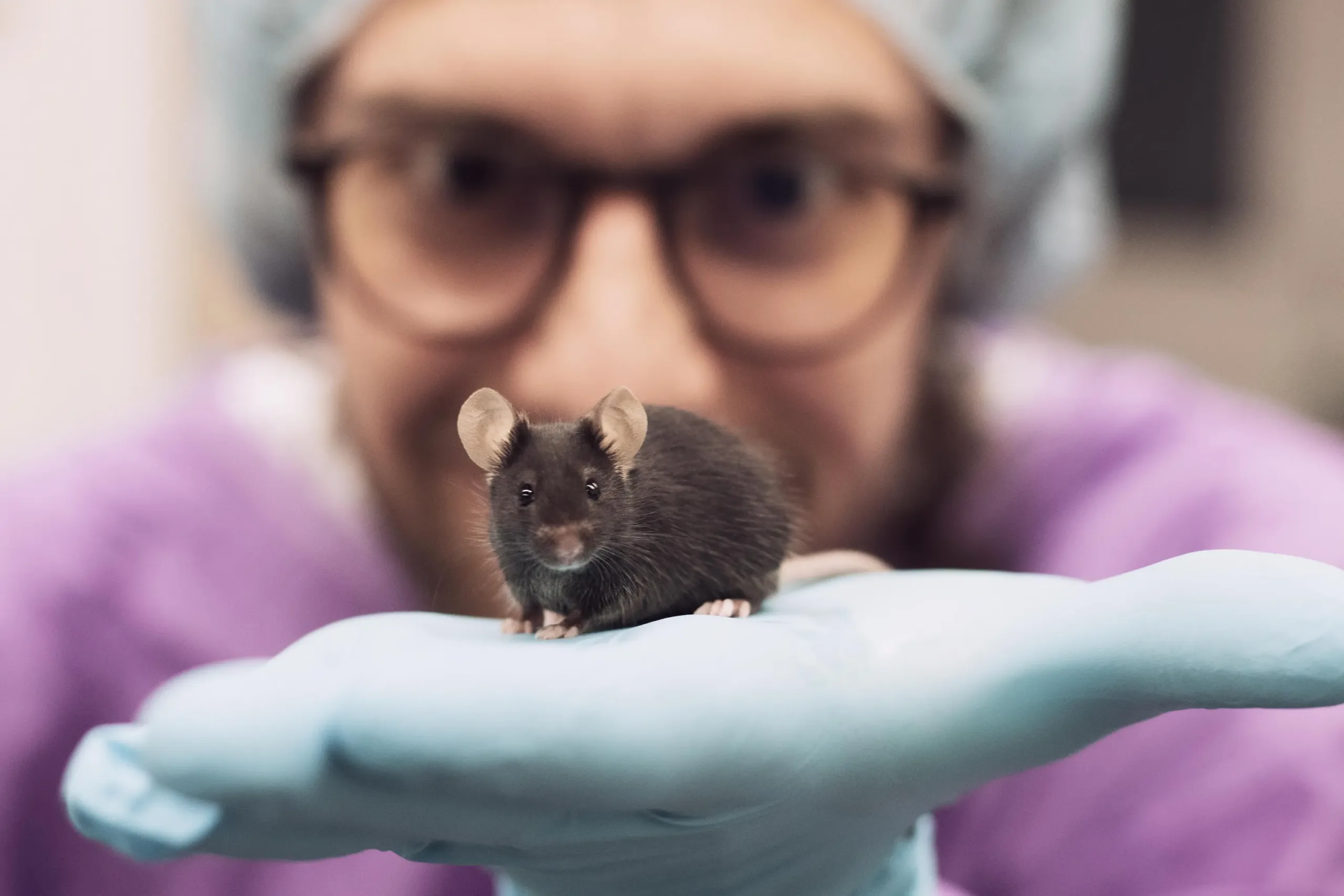 Bild: Andrea Pamela Willi, Mitgründerin von Vigilitech