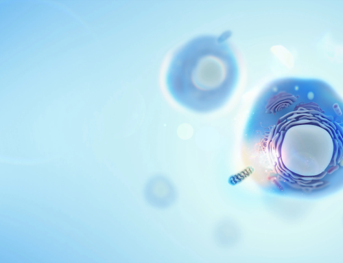 Biotech Startup Cellvie: Wenn Zellkraftwerke zur Therapie werden