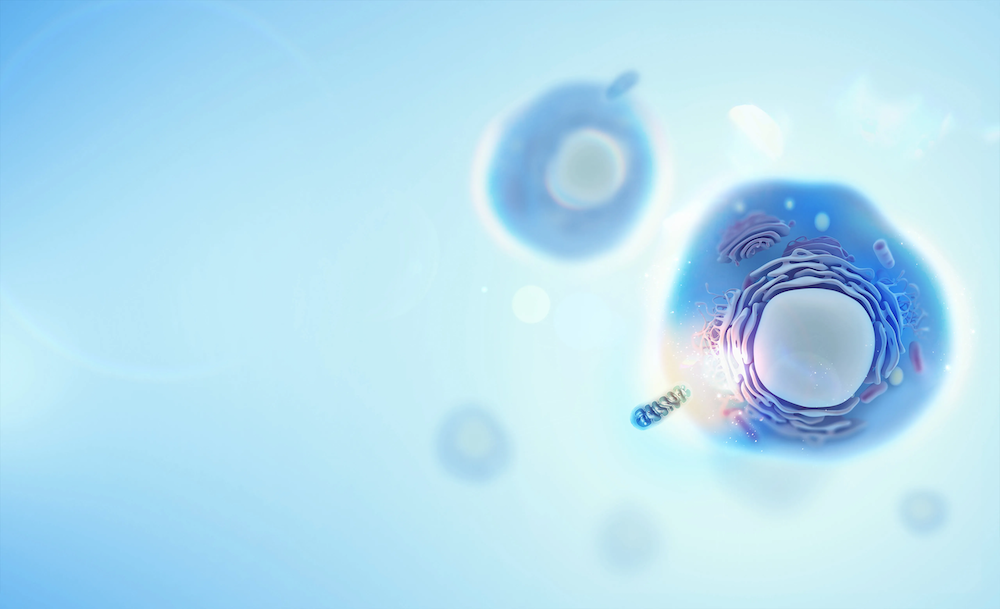 Zellen und Mitochondrien